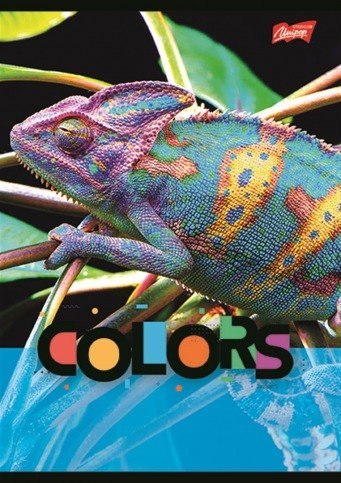 Zeszyt A5 32k kratka laminowany EXOTIC COLORS UNIPAP Zeszyt A5 32k kratka laminowany EXOTIC COLORS UNIPAP
