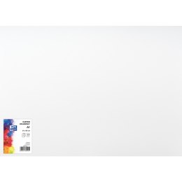 Karton kolorowy CREATINIO A1 250G (25 ark.) biały 400173613