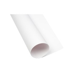 Karton kolorowy CREATINIO A1 250G (25 ark.) biały 400173613