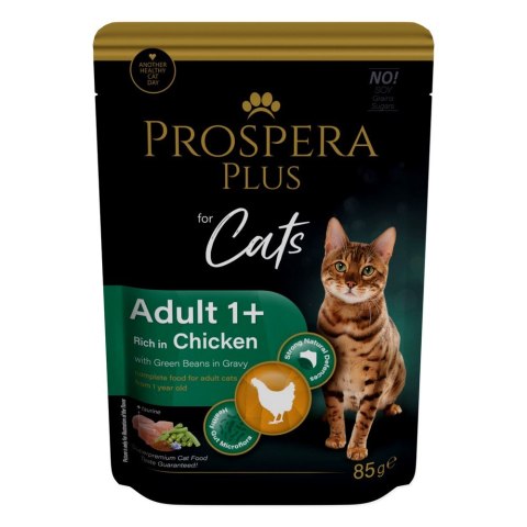 PROSPERA Plus Saszetka Adult 1+, Kurczak, Fasola 85g (1513-10103)