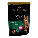 PROSPERA Plus Saszetka dla dorosłych 1+, jagnięcina, dynia 85g (1513-10105)