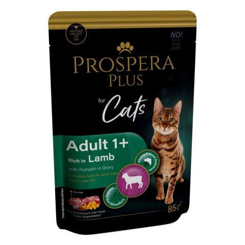 PROSPERA Plus Saszetka dla dorosłych 1+, jagnięcina, dynia 85g (1513-10105) PROSPERA Plus Saszetka dla dorosłych 1+, jagnięcina, dynia 85g (1513-10105)