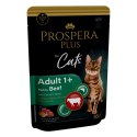 PROSPERA Plus Saszetka dla dorosłych 1+, wołowina, marchew 85g (1513-10104)