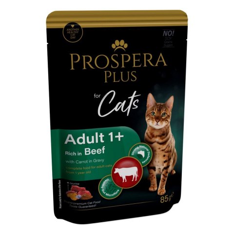 PROSPERA Plus Saszetka dla dorosłych 1+, wołowina, marchew 85g (1513-10104) PROSPERA Plus Saszetka dla dorosłych 1+, wołowina, marchew 85g (1513-10104)