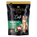 PROSPERA Plus Saszetka dla dorosłych 1+, wołowina, marchew 85g (1513-10104)