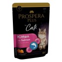 PROSPERA Plus Saszetka dla kociąt, łosoś, marchew 85g (1513-10100)