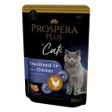 PROSPERA Plus Saszetka sterylizowany 1+, kurczak, marchew 85g (1513-10108)