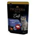 PROSPERA Plus Saszetka sterylizowany 1+, wołowina, dynia 85g (1513-10107)
