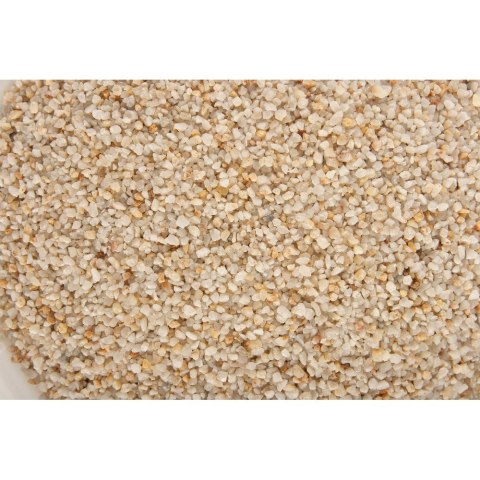 ZOLUX Aquasand Nature kwarc biały 1 kg (346404) ZOLUX Aquasand Nature kwarc biały 1 kg (346404)