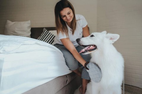 Hunter Grooming Szczotka Rękawica Dla Psa I Kota Hunter Grooming Szczotka Rękawica Dla Psa I Kota