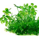 Kruger Meier Plant Lucky Clover - roślinka sztuczna