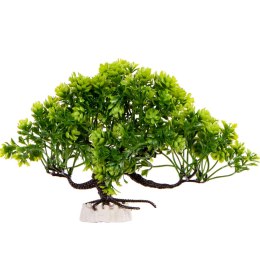 Kruger Meier Plant Zen Bosai - roślinka sztuczna