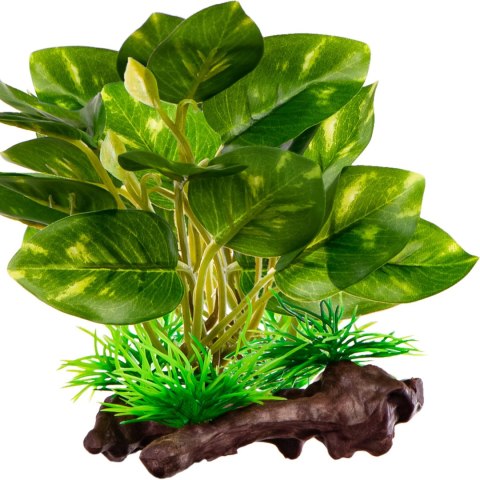 Kruger Meier Plant Ficus Root - roślinka sztuczna Kruger Meier Plant Ficus Root - roślinka sztuczna