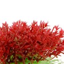 Kruger Meier Plant Mini Flame - roślinka sztuczna