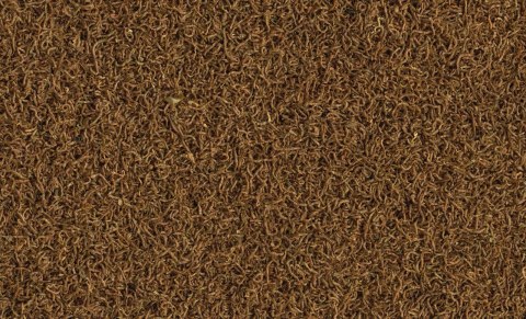 Tetra Delica Bloodworms 100ml Tetra Delica Bloodworms 100ml