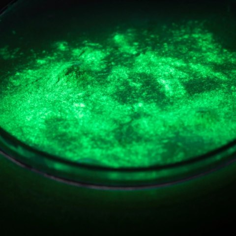 SLIME ZESTAW DIY SWIECĄCY W CIEMNOSCI XL SLIME ZESTAW DIY SWIECĄCY W CIEMNOSCI XL