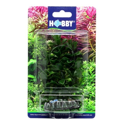 HOBBY Sztuczna roślina akwariowa Bacopa 13cm (51556) HOBBY Sztuczna roślina akwariowa Bacopa 13cm (51556)