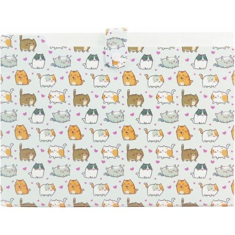 Teczka harmonijkowa A4 PP 5 przegródek z nadrukiem KITTENS THN-A4-35 BIURFOL Teczka harmonijkowa A4 PP 5 przegródek z nadrukiem KITTENS THN-A4-35 BIURFOL
