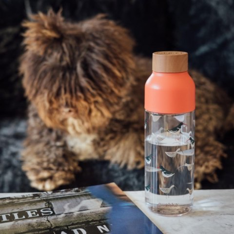 Quokka Ice - Butelka na wodę ecozen 720 ml (Birds) Quokka Ice - Butelka na wodę ecozen 720 ml (Birds)