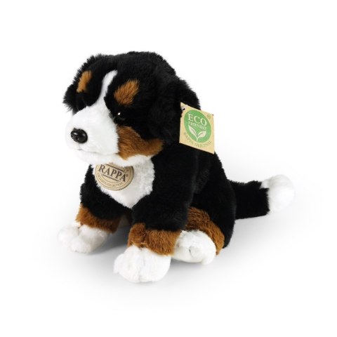 Rappa - Pluszowa realistyczna maskotka Berneński Pies Pasterski siedzący 23 cm Eco-Friendly Soft Collection Rappa - Pluszowa realistyczna maskotka Berneński Pies Pasterski siedzący 23 cm Eco-Friendly Soft Collection