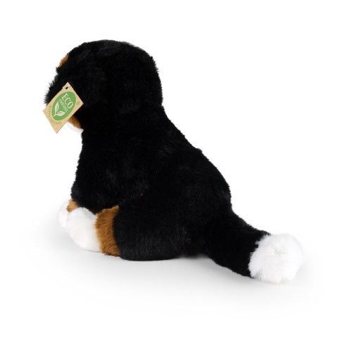 Rappa - Pluszowa realistyczna maskotka Berneński Pies Pasterski siedzący 23 cm Eco-Friendly Soft Collection Rappa - Pluszowa realistyczna maskotka Berneński Pies Pasterski siedzący 23 cm Eco-Friendly Soft Collection