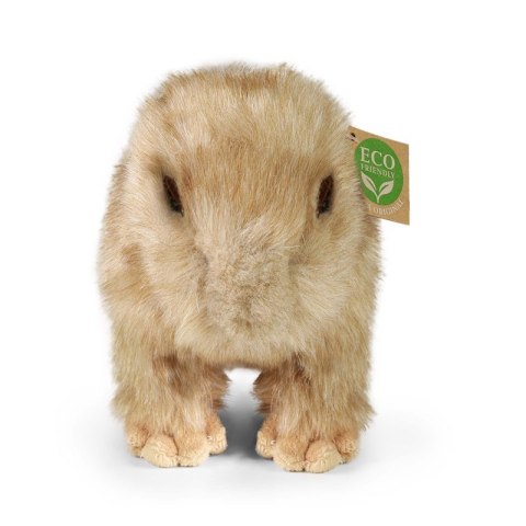 Rappa - Pluszowa realistyczna maskotka Kapibara 30 cm Eco-Friendly Rappa - Pluszowa realistyczna maskotka Kapibara 30 cm Eco-Friendly