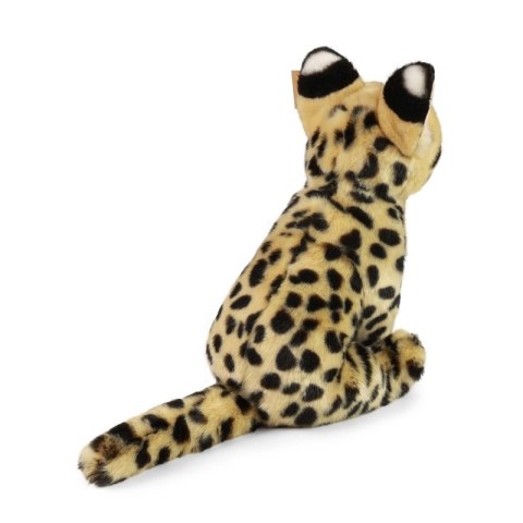 Rappa - Pluszowa realistyczna maskotka Kot Serwal siedzący 30 cm Eco-Friendly Rappa - Pluszowa realistyczna maskotka Kot Serwal siedzący 30 cm Eco-Friendly