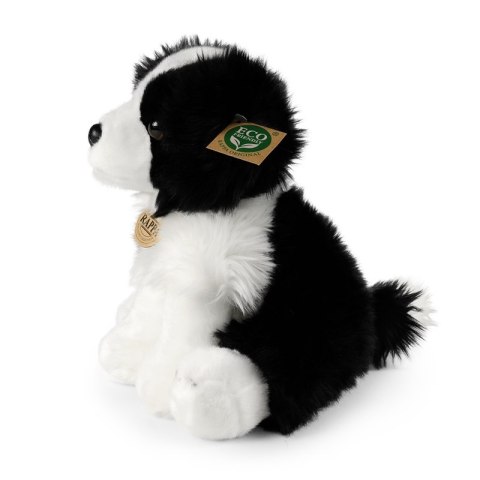 Rappa - Pluszowa realistyczna maskotka Pies Border Collie siedzący 30 cm Eco-Friendly Rappa - Pluszowa realistyczna maskotka Pies Border Collie siedzący 30 cm Eco-Friendly