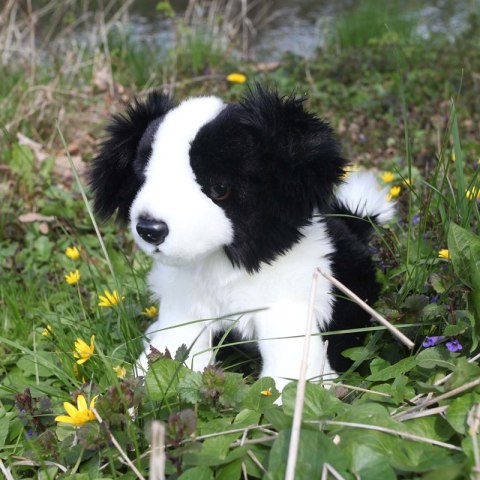 Rappa - Pluszowa realistyczna maskotka Pies Border Collie siedzący 30 cm Eco-Friendly Rappa - Pluszowa realistyczna maskotka Pies Border Collie siedzący 30 cm Eco-Friendly