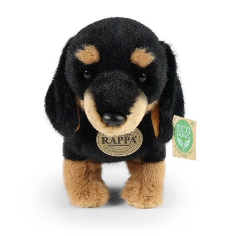 Rappa - Pluszowa realistyczna maskotka Pies Jamnik 23 cm Eco-Friendly Soft Collection Rappa - Pluszowa realistyczna maskotka Pies Jamnik 23 cm Eco-Friendly Soft Collection