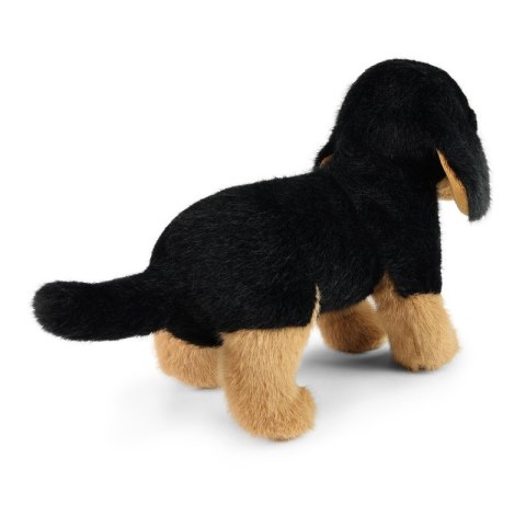 Rappa - Pluszowa realistyczna maskotka Pies Jamnik 23 cm Eco-Friendly Soft Collection Rappa - Pluszowa realistyczna maskotka Pies Jamnik 23 cm Eco-Friendly Soft Collection