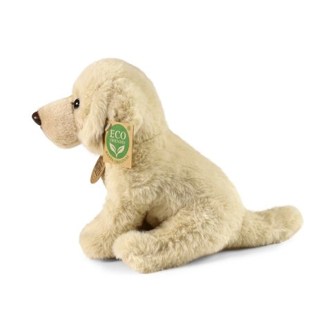 Rappa - Pluszowa realistyczna maskotka Pies Labrador Retriever siedzący 23 cm Eco-Friendly Soft Collection Rappa - Pluszowa realistyczna maskotka Pies Labrador Retriever siedzący 23 cm Eco-Friendly Soft Collection