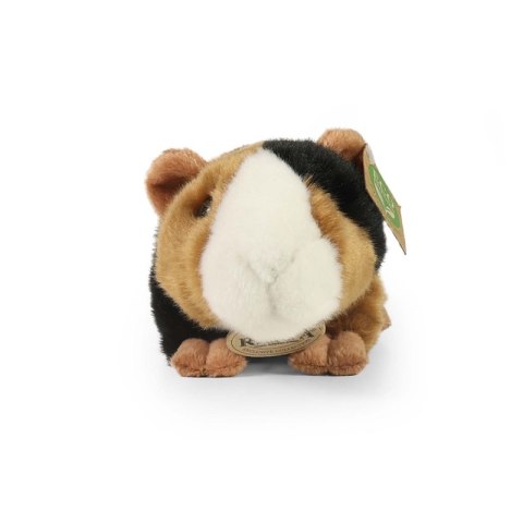 Rappa - Pluszowa realistyczna maskotka Świnka Morska 22 cm Eco-Friendly Rappa - Pluszowa realistyczna maskotka Świnka Morska 22 cm Eco-Friendly