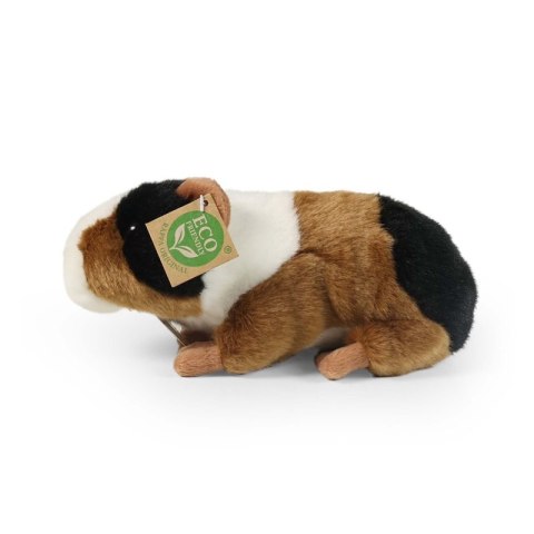 Rappa - Pluszowa realistyczna maskotka Świnka Morska 22 cm Eco-Friendly Rappa - Pluszowa realistyczna maskotka Świnka Morska 22 cm Eco-Friendly