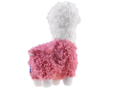 Alpaka puszysta maskotka lama pluszak 28cm ZA4402 Alpaka puszysta maskotka lama pluszak 28cm ZA4402