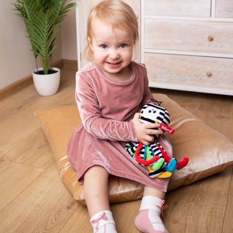 Mini czarno-biała Ośmiornica Mini czarno-biała Ośmiornica