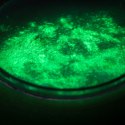 SLIME ZESTAW DIY SWIECĄCY W CIEMNOSCI