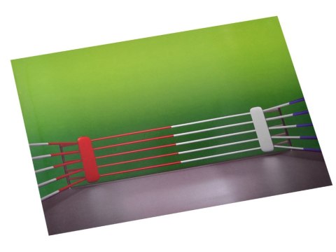 Boks zawody zabawka Bokserzy na pilota RC0597 Boks zawody zabawka Bokserzy na pilota RC0597