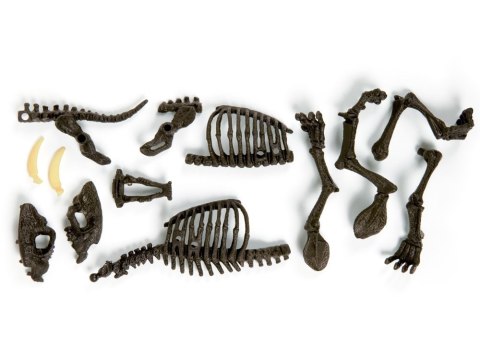 Clementoni Smilodon Zbuduj szkielet tygrysa ZA3713 Clementoni Smilodon Zbuduj szkielet tygrysa ZA3713