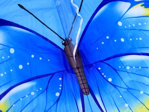 Lekki Latawiec MOTYL Bajecznie kolorowy latawiec dla dzieci ZA5570 Lekki Latawiec MOTYL Bajecznie kolorowy latawiec dla dzieci ZA5570