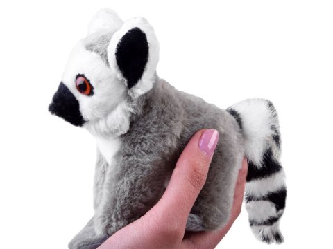 Maskotka pluszak Lemur Julek 13cm 13722 Maskotka pluszak Lemur Julek 13cm 13722