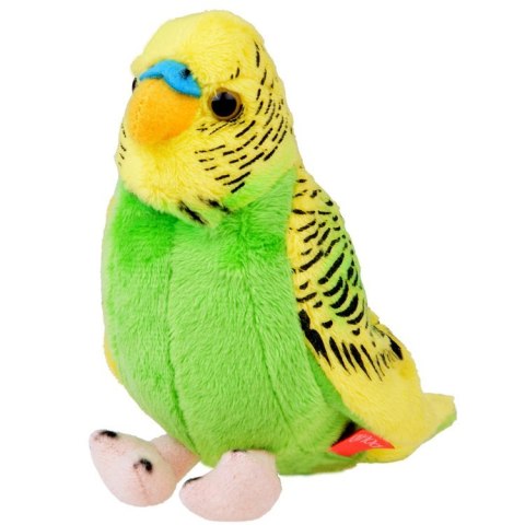 Maskotka pluszowa Papuga falista zielono-żółta papużka ptaszek 13cm 13728 Maskotka pluszowa Papuga falista zielono-żółta papużka ptaszek 13cm 13728