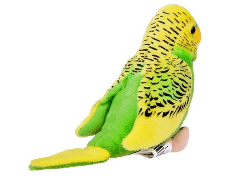 Maskotka pluszowa Papuga falista zielono-żółta papużka ptaszek 13cm 13728 Maskotka pluszowa Papuga falista zielono-żółta papużka ptaszek 13cm 13728