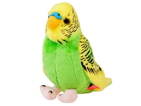 Maskotka pluszowa Papuga falista zielono-żółta papużka ptaszek 13cm 13728 Maskotka pluszowa Papuga falista zielono-żółta papużka ptaszek 13cm 13728