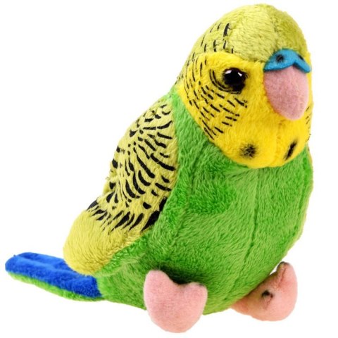 Maskotka zielona Papuga falista 13cm 13847 Maskotka zielona Papuga falista 13cm 13847