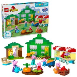 LEGO 10461 Duplo Ogród i szklarnia Dziadka Świnki