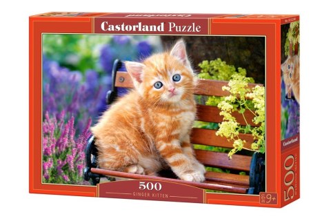Puzzle 500 el. Ginger Kitten Puzzle 500 el. Ginger Kitten
