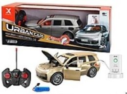 Auto RC 1:22 MIX