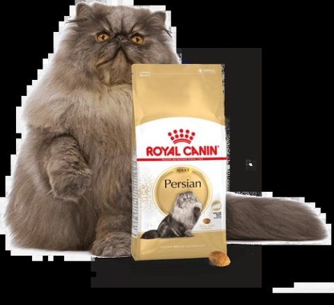 ROYAL CANIN Persian Adult 10kg+2kg ROYAL CANIN Persian Adult 10kg+2kg