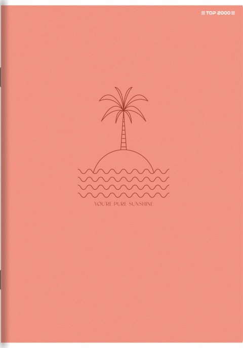 Zeszyt A4 80k kratka margines MEGAMIX 400183670 TOP 2000